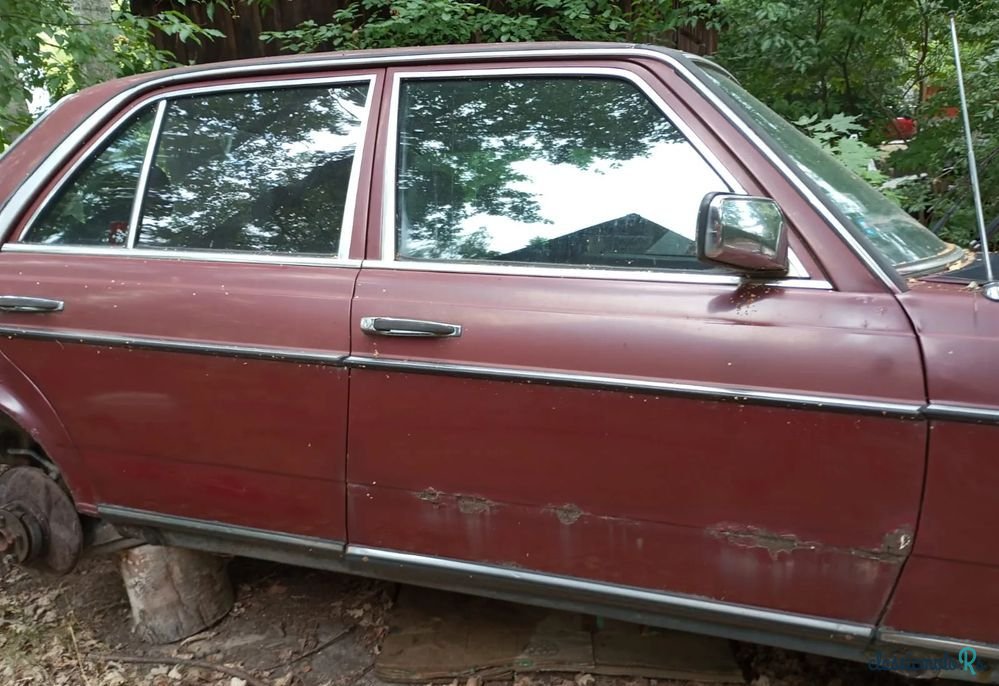 1977' Mercedes-Benz W123 photo #5