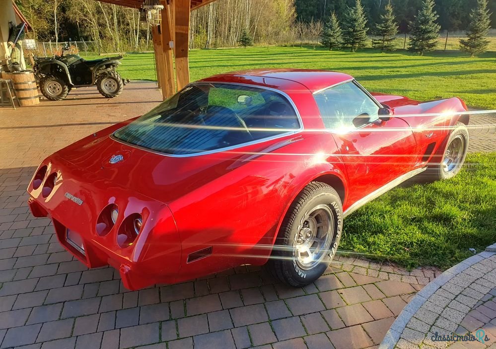 1978' Chevrolet Corvette photo #3