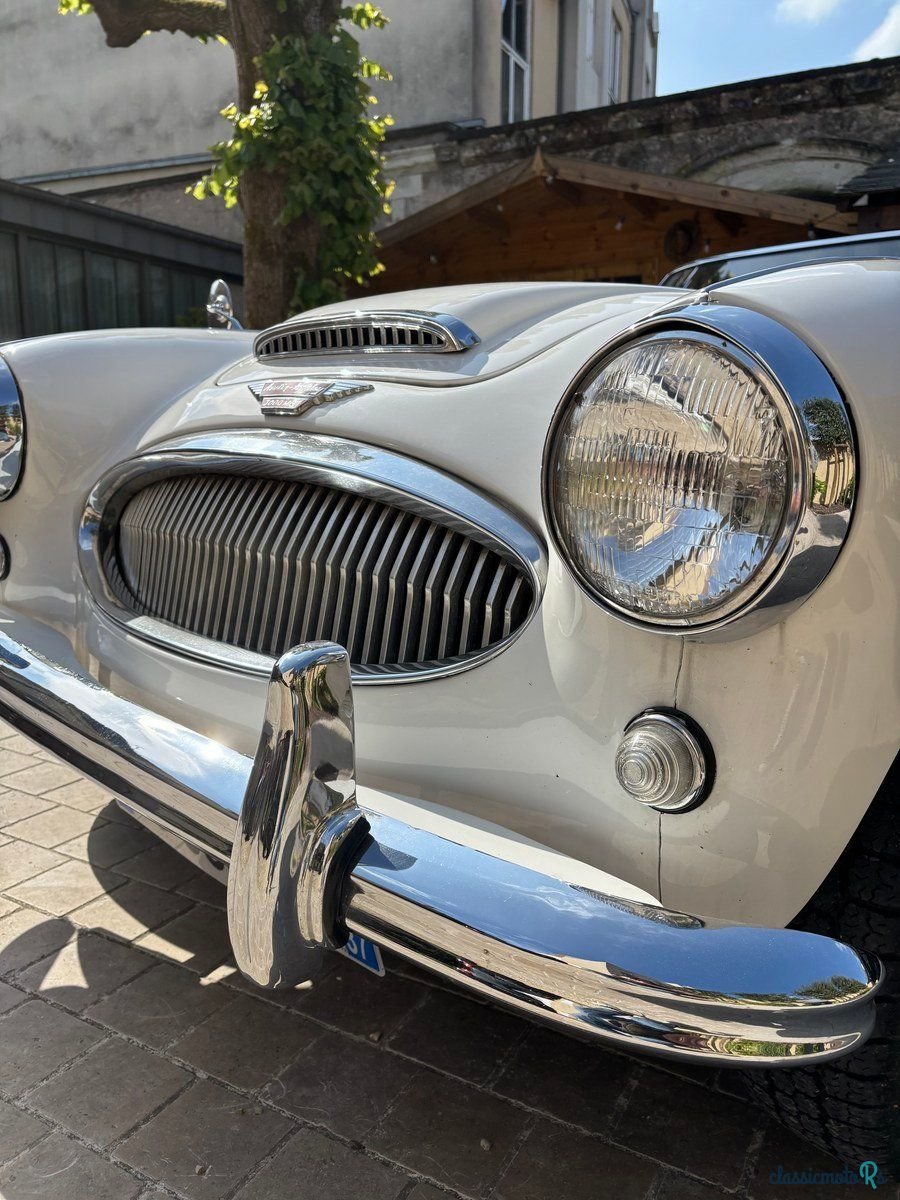 1963' Austin-Healey 3000 photo #5