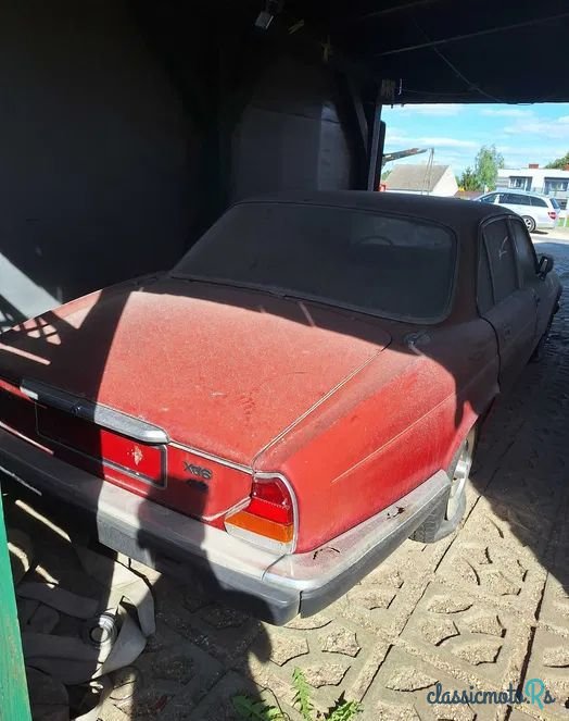 1979' Jaguar XJ photo #5