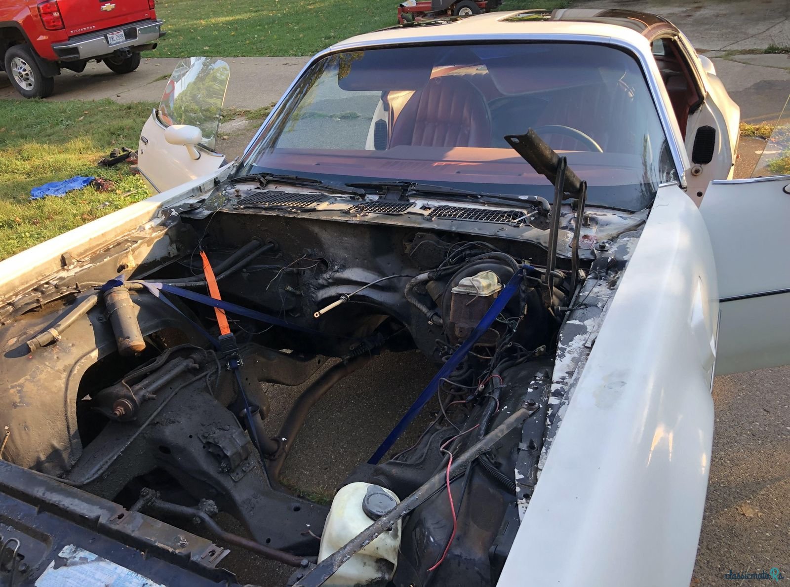 1977' Pontiac Firebird photo #3