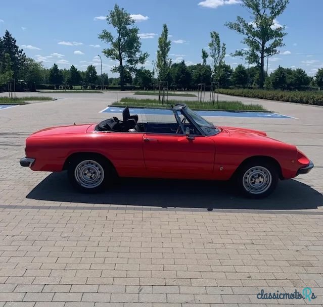 1975' Alfa Romeo Spider 2.0 photo #2