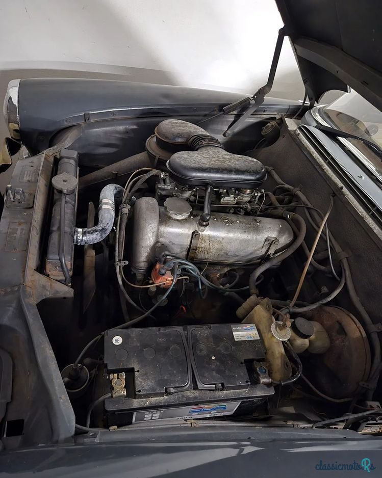 1966' Mercedes-Benz photo #5