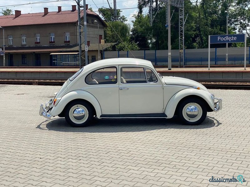 1966' Volkswagen Garbus photo #3