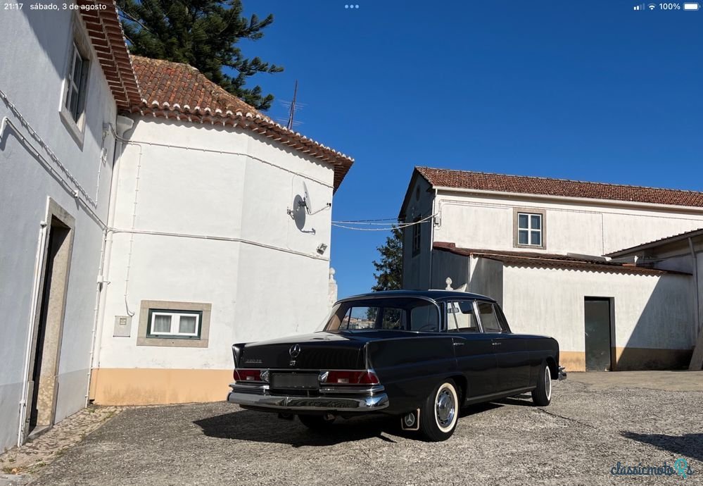 1966' Mercedes-Benz 220 photo #2