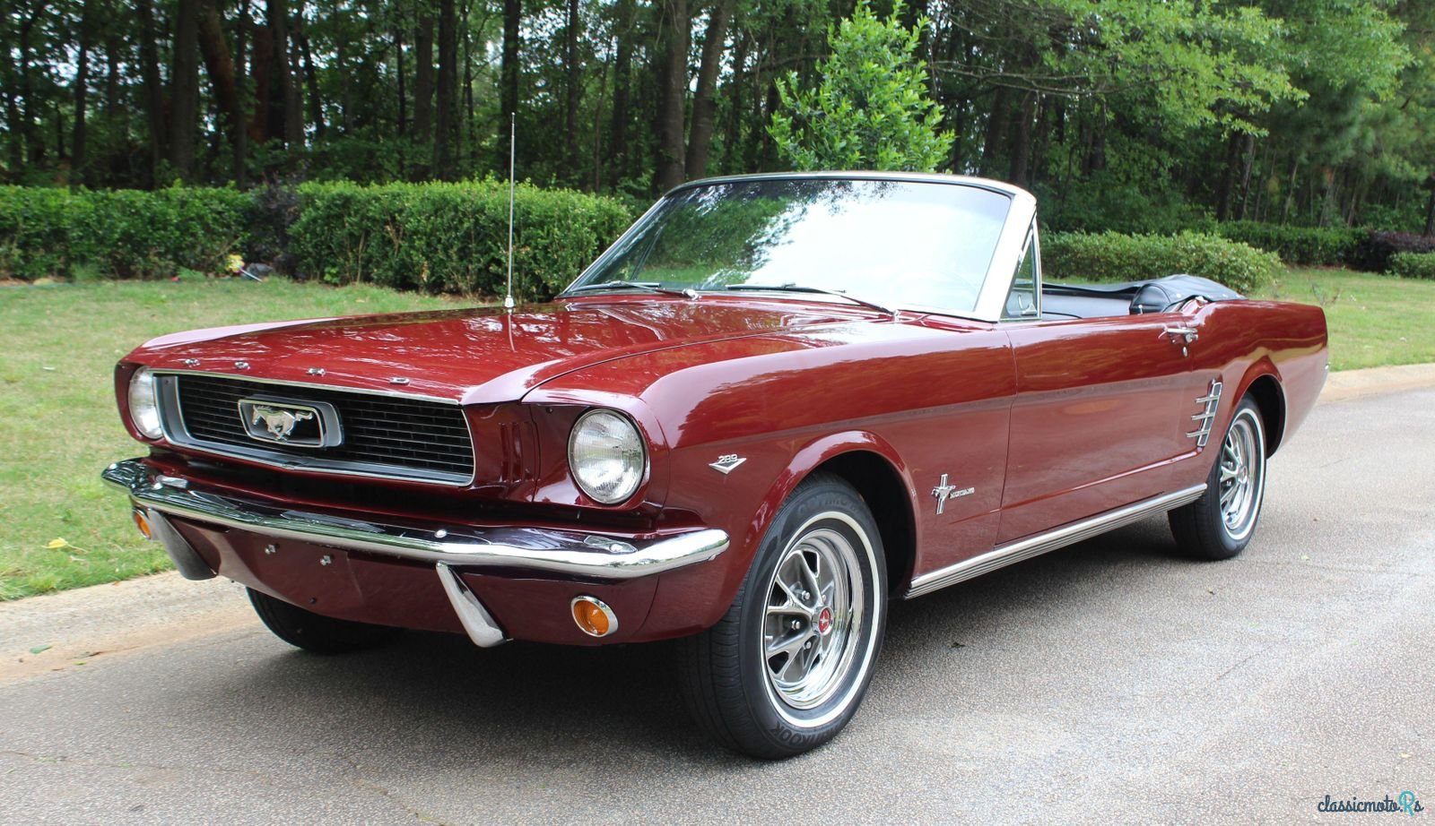 1966' Ford Mustang photo #3
