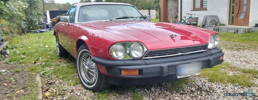 1977' Jaguar XJS photo #1