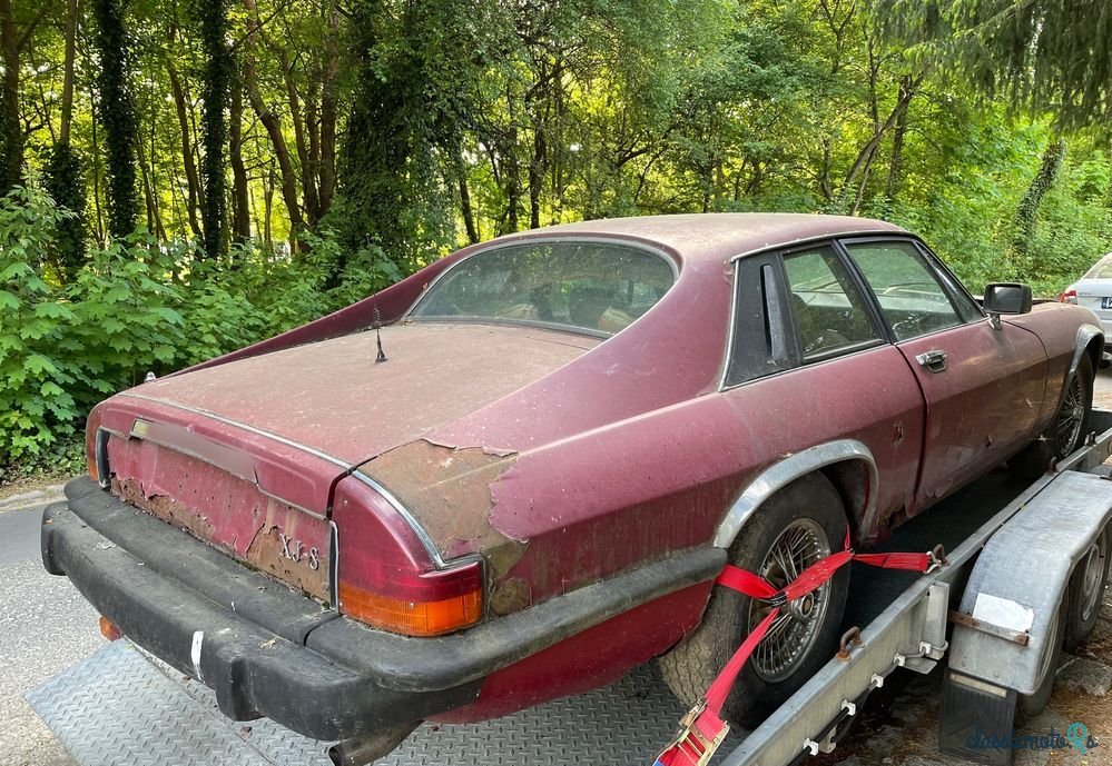 1978' Jaguar XJS photo #3