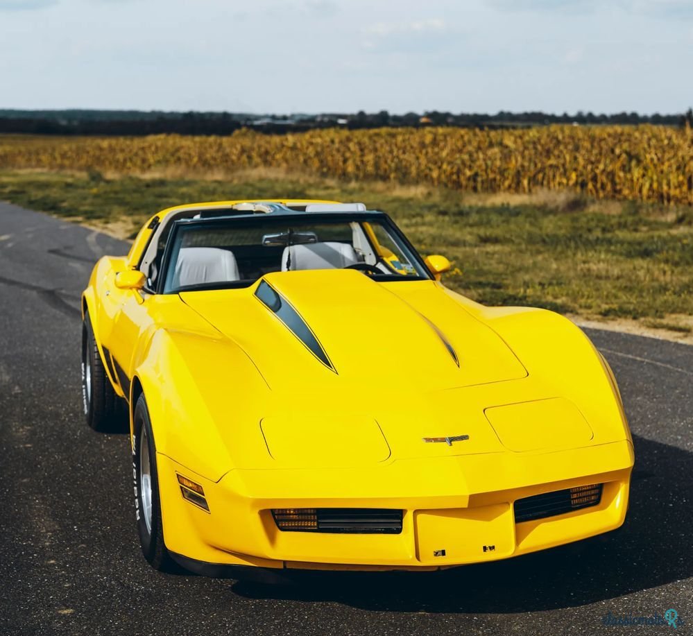 1980' Chevrolet Corvette photo #4