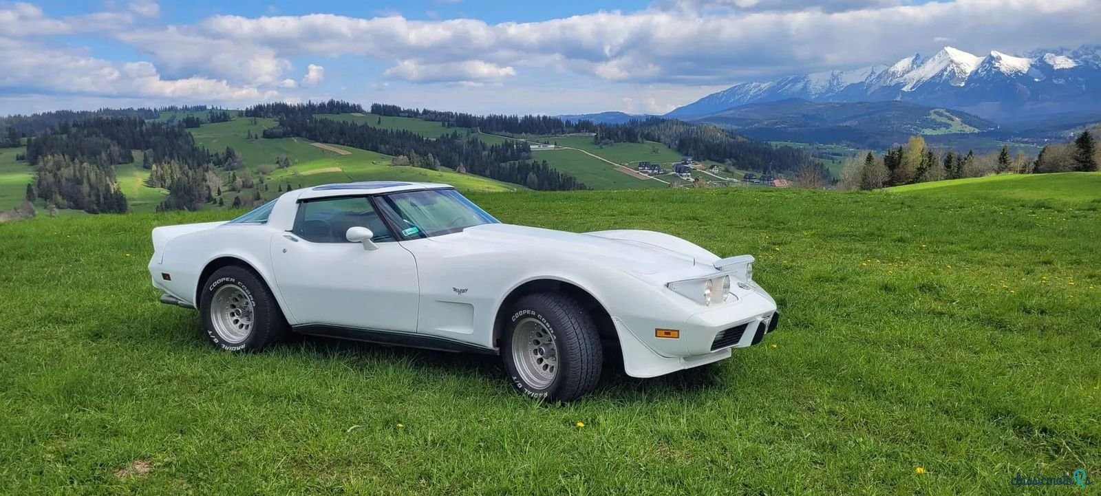 1978' Chevrolet Corvette photo #3