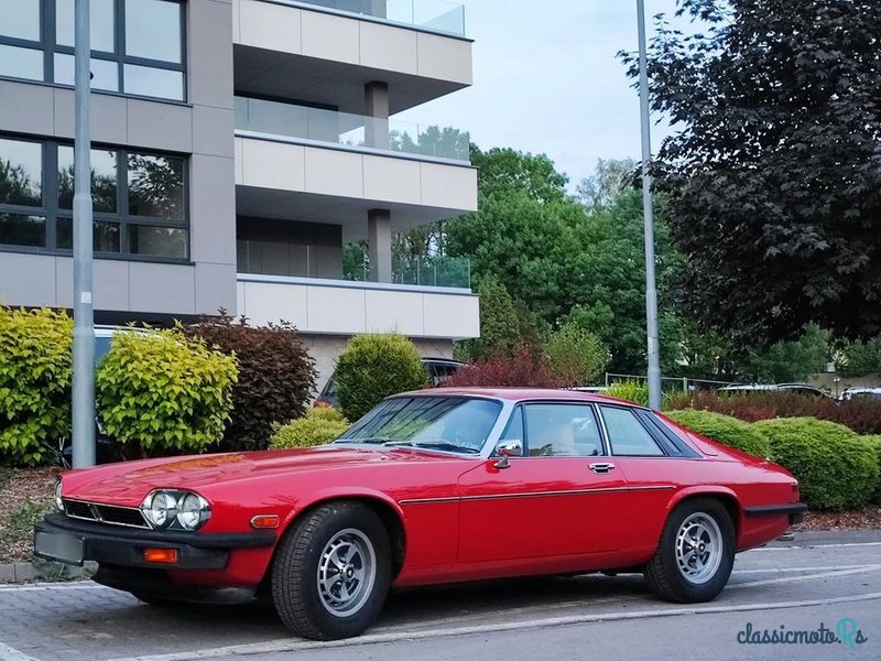 1976' Jaguar XJS photo #1