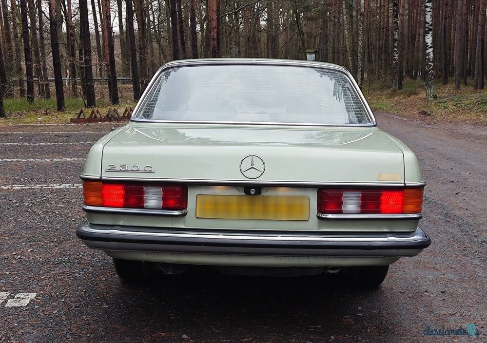 1977' Mercedes-Benz W123 photo #3