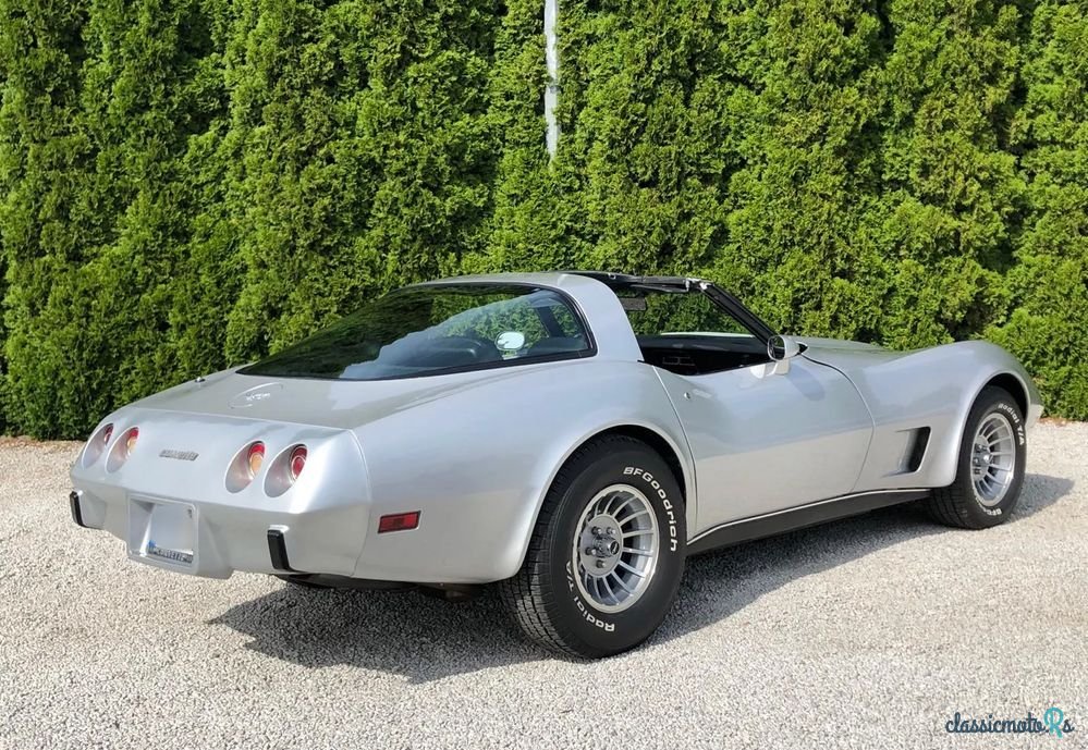 1979' Chevrolet Corvette photo #4
