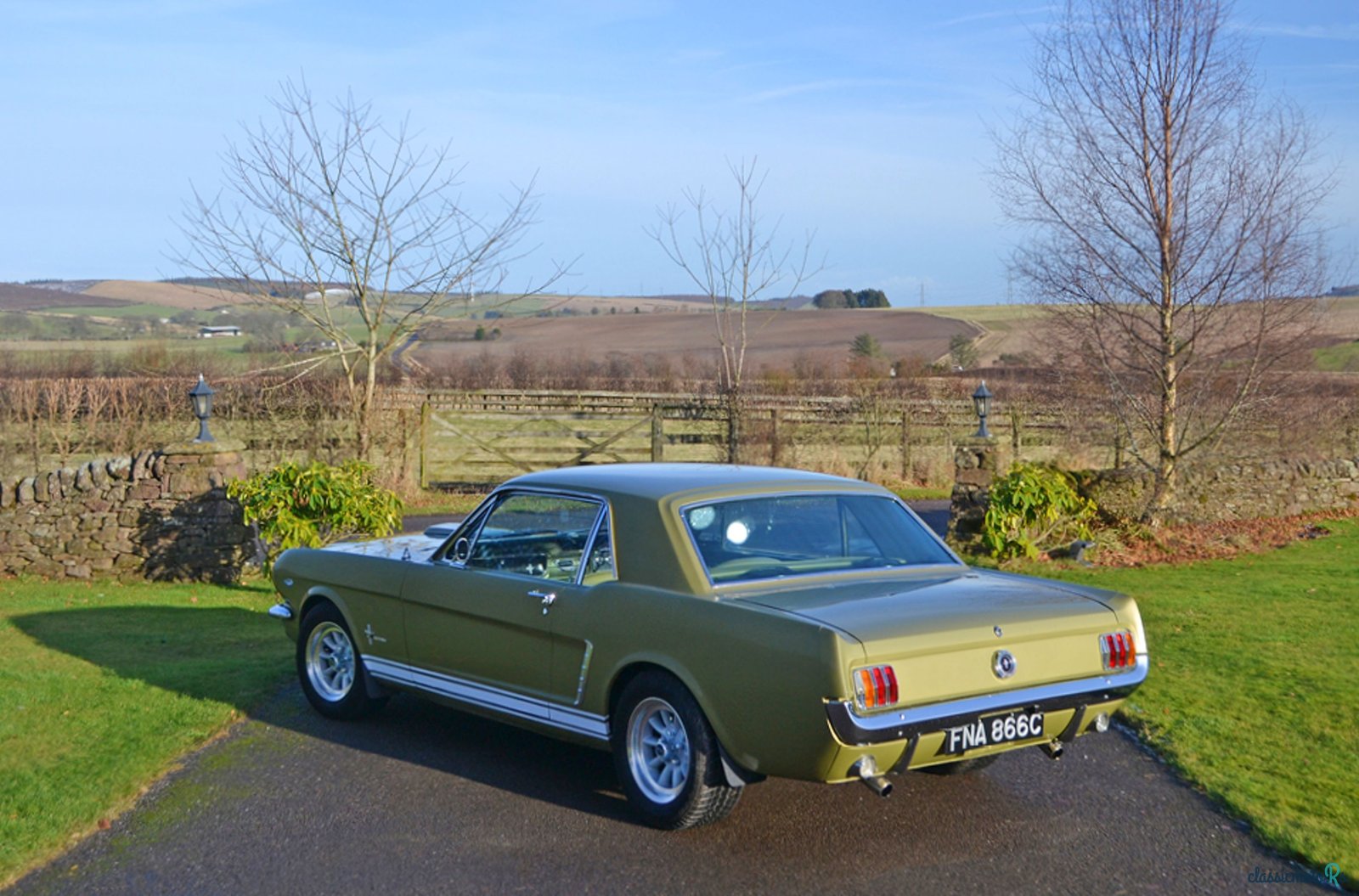 1965' Ford Mustang photo #2