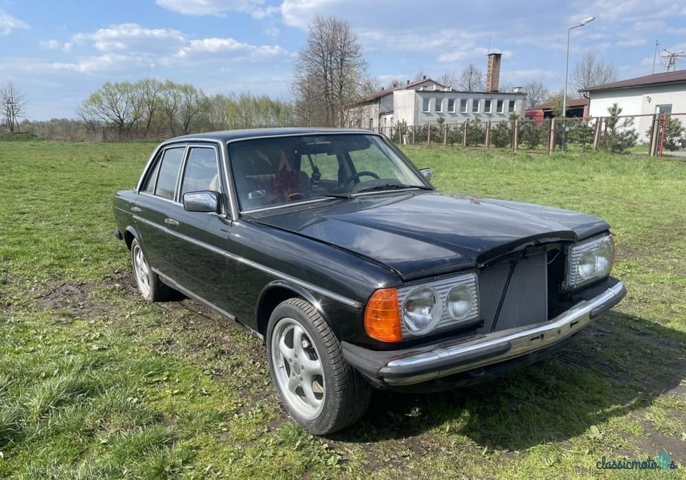 1976' Mercedes-Benz W123 photo #1