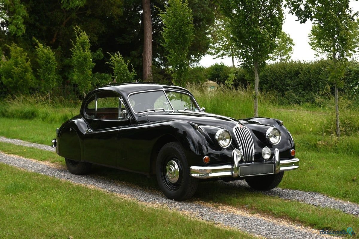 1955' Jaguar Xk140 photo #1