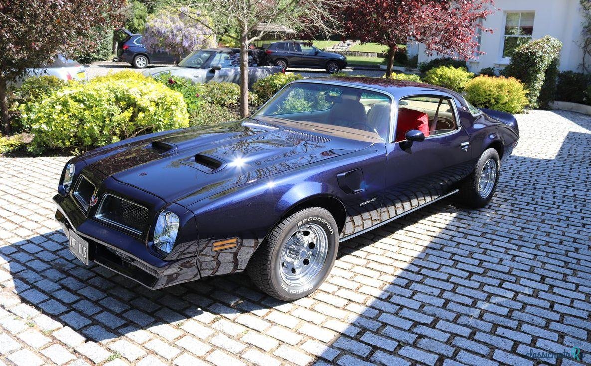 1976' Pontiac Firebird photo #3
