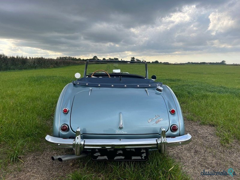 1959' Austin-Healey 100-6 photo #4