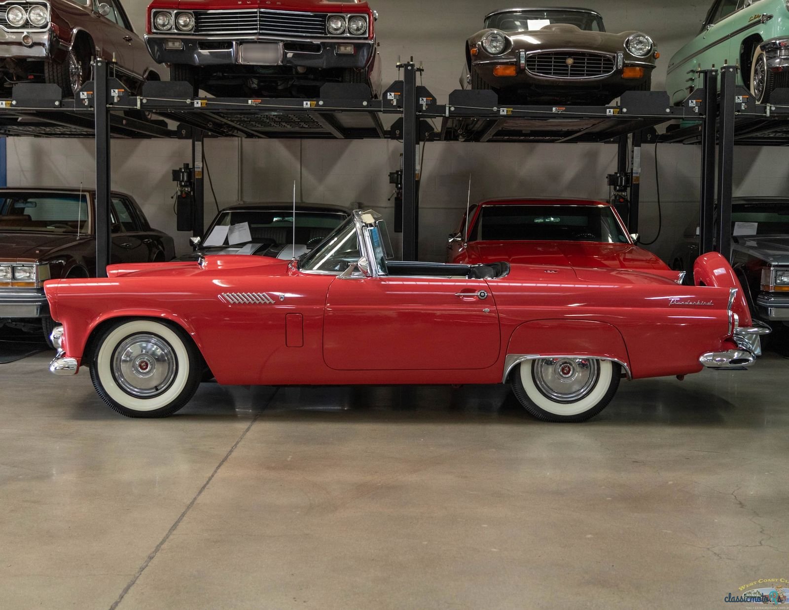 1956' Ford Thunderbird photo #3