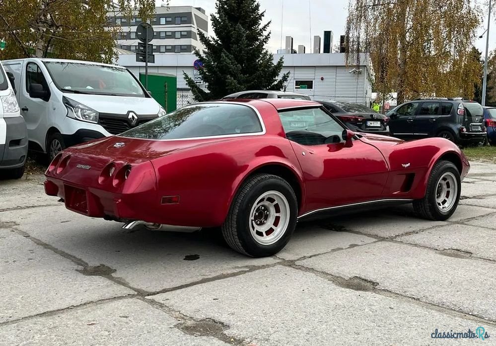 1978' Chevrolet Corvette photo #5