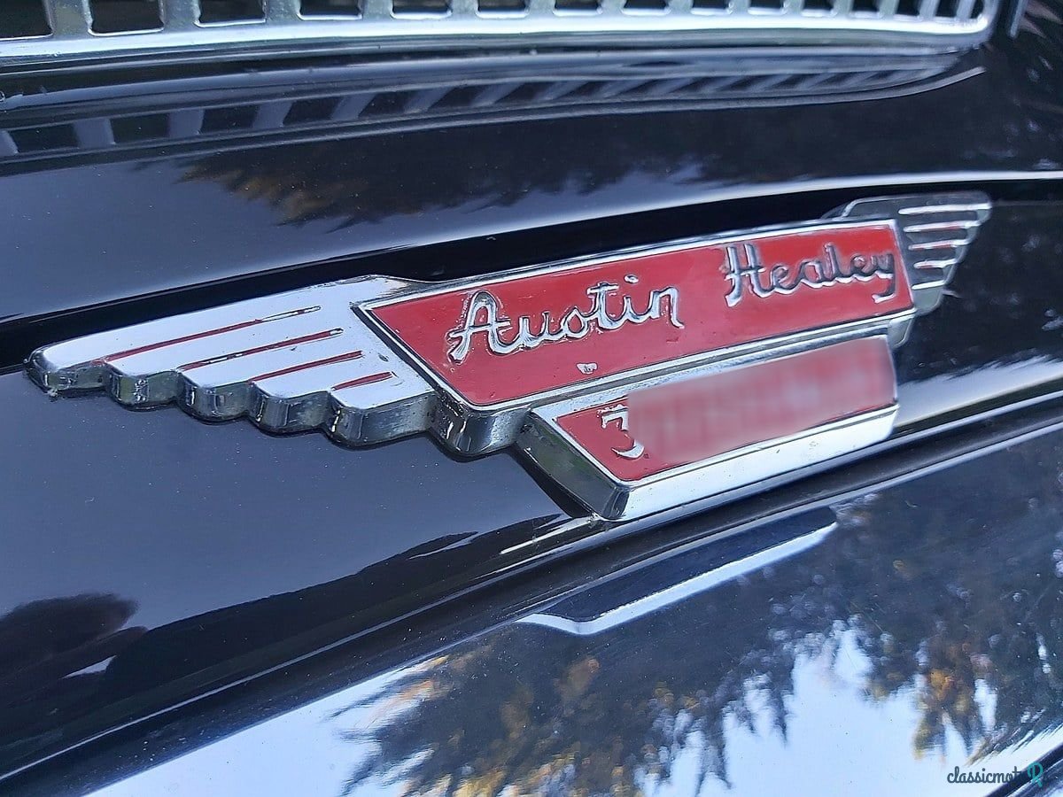 1967' Austin-Healey 3000 photo #4