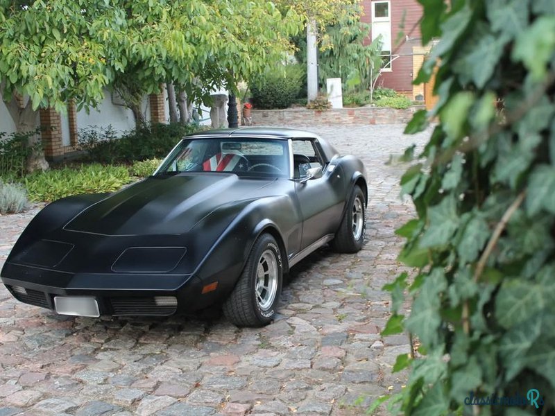 1974' Chevrolet Corvette photo #1