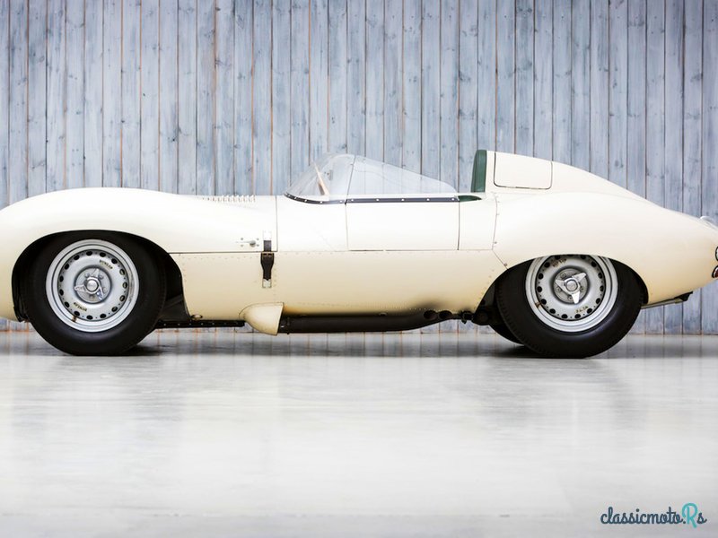 1955' Jaguar D-Type photo #6