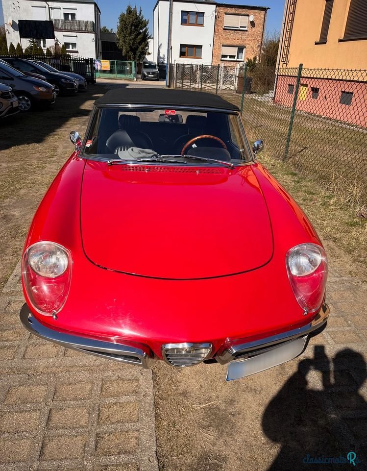 1969' Alfa Romeo Spider photo #2