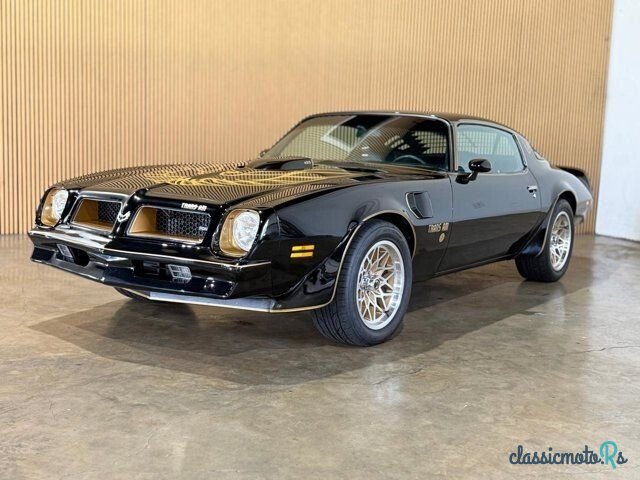 1976' Pontiac Firebird photo #1