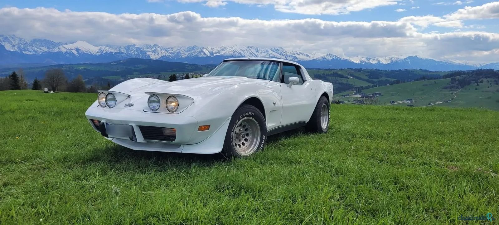 1978' Chevrolet Corvette photo #4