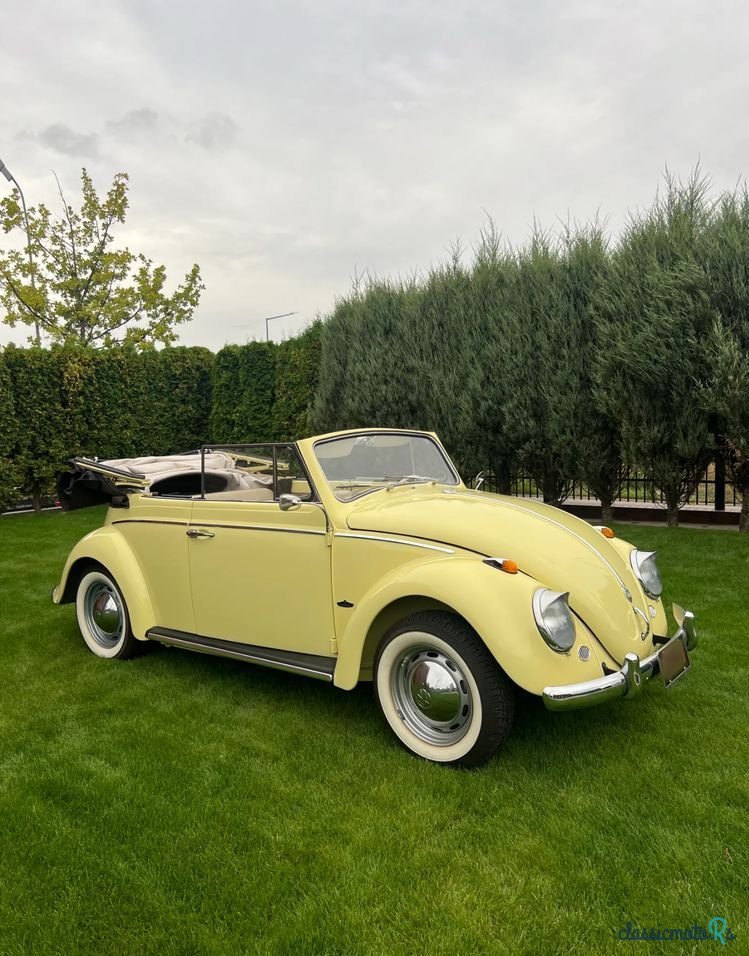 1962' Volkswagen Garbus photo #1