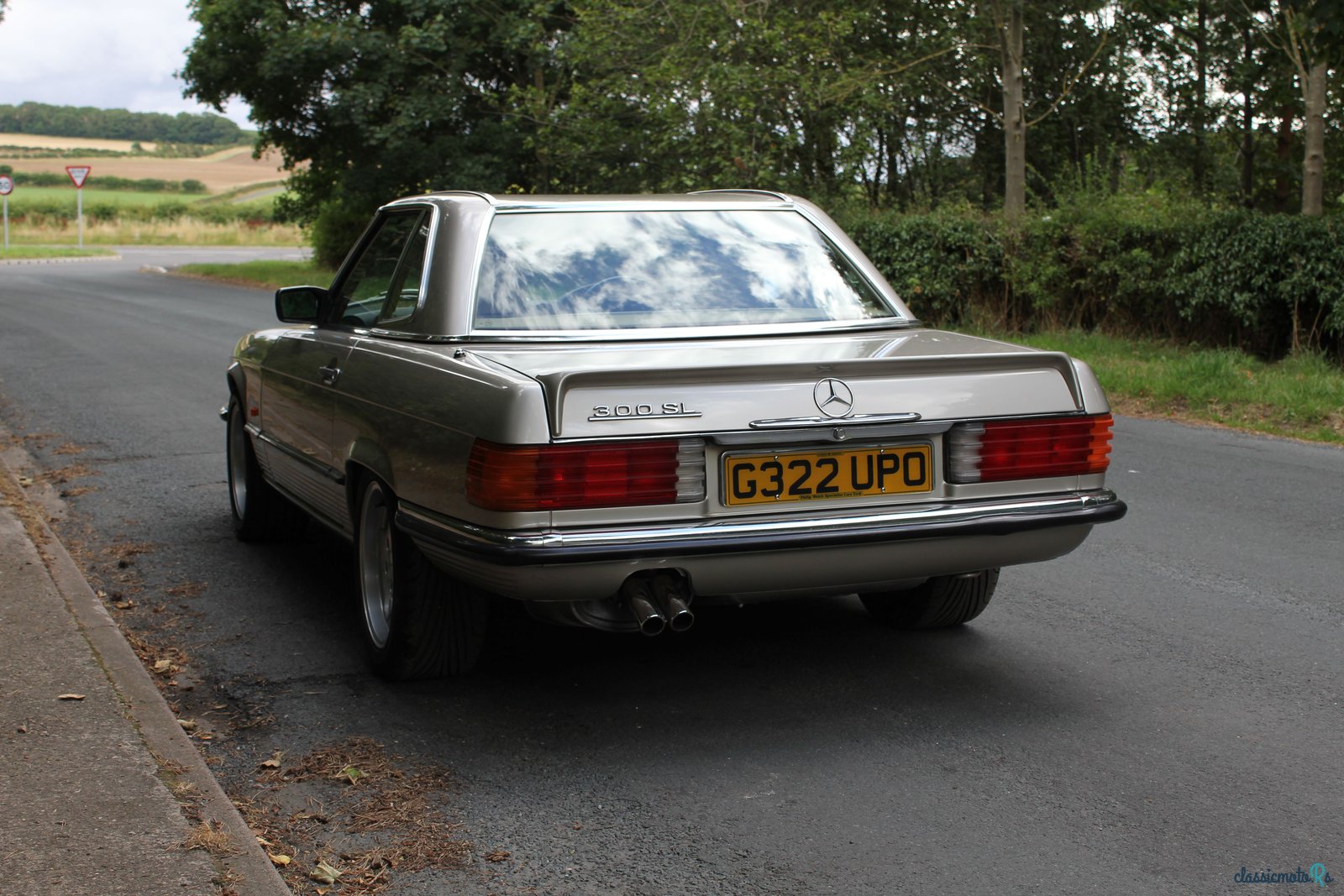 1989' Mercedes-Benz 300 photo #4