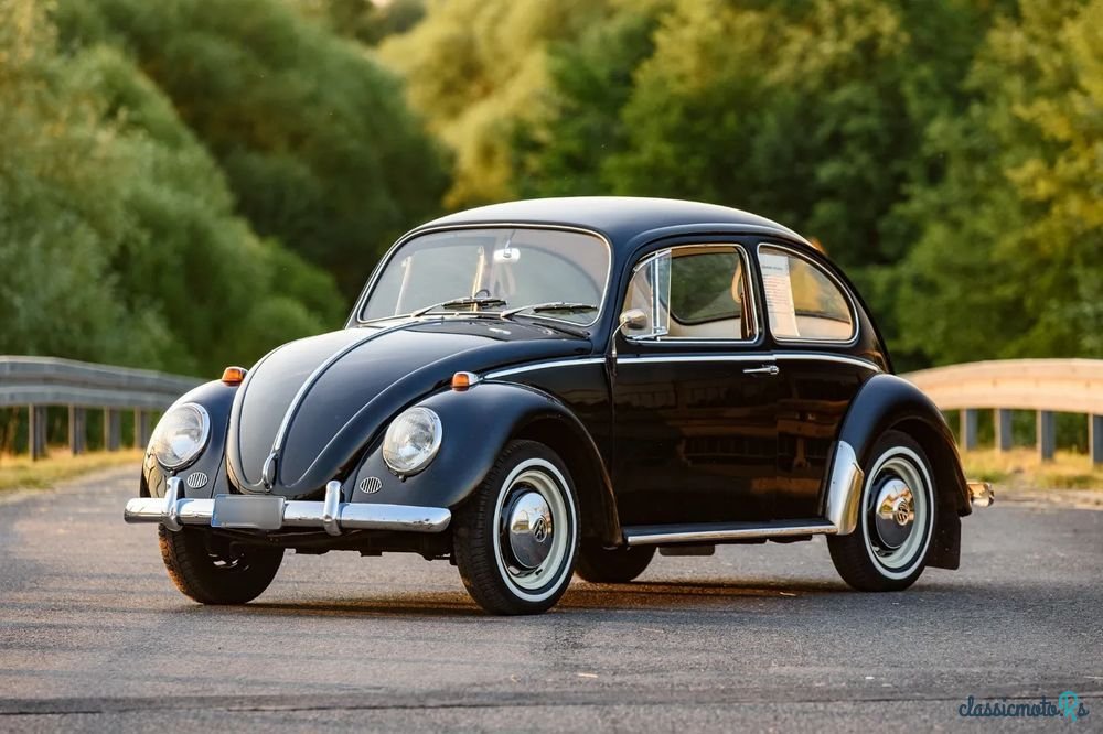 1966' Volkswagen Garbus photo #1