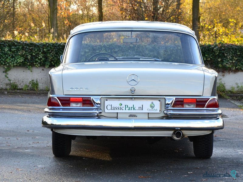 1961' Mercedes-Benz 220 S photo #4