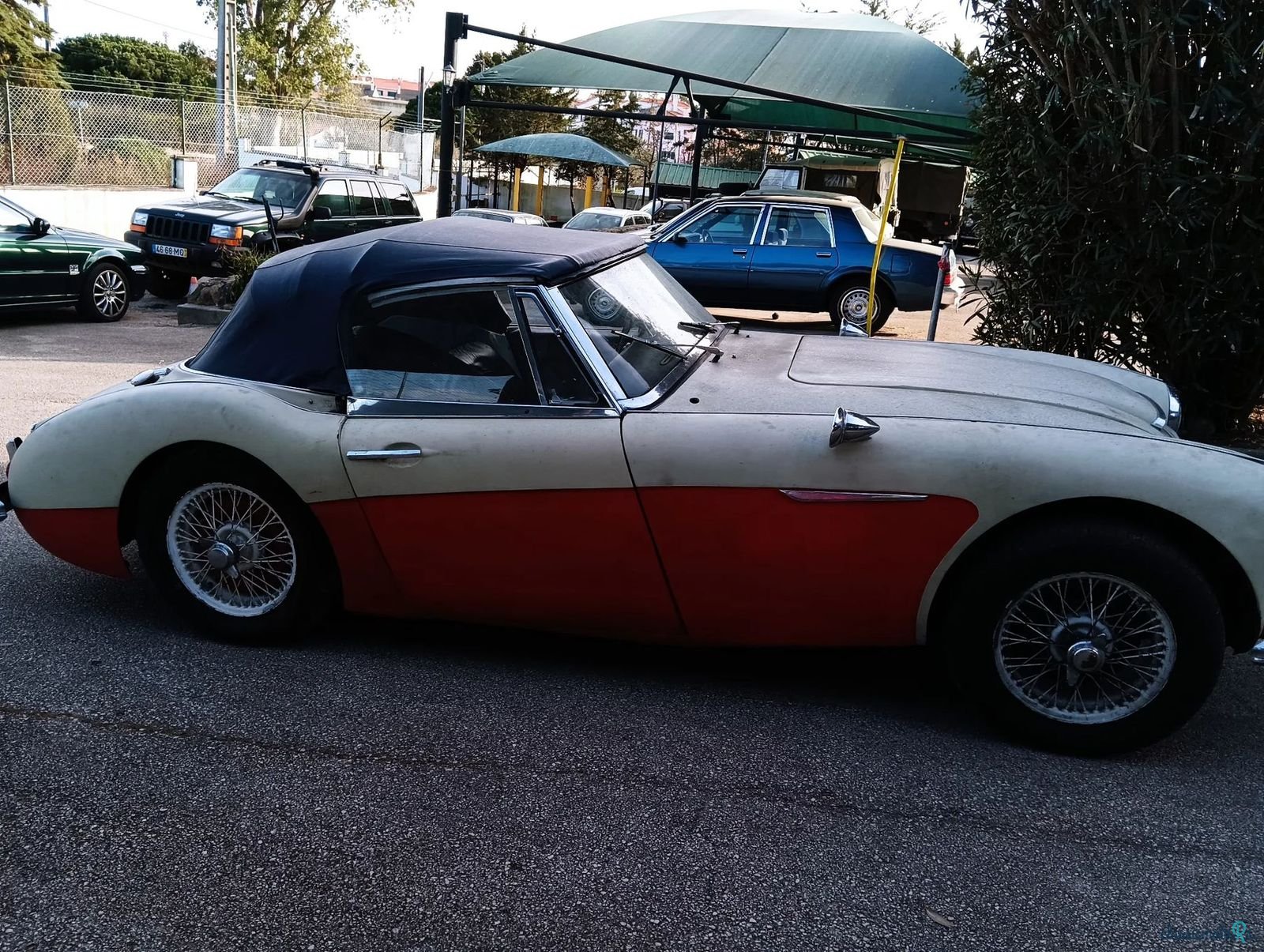 1963' Austin-Healey 3000 photo #3