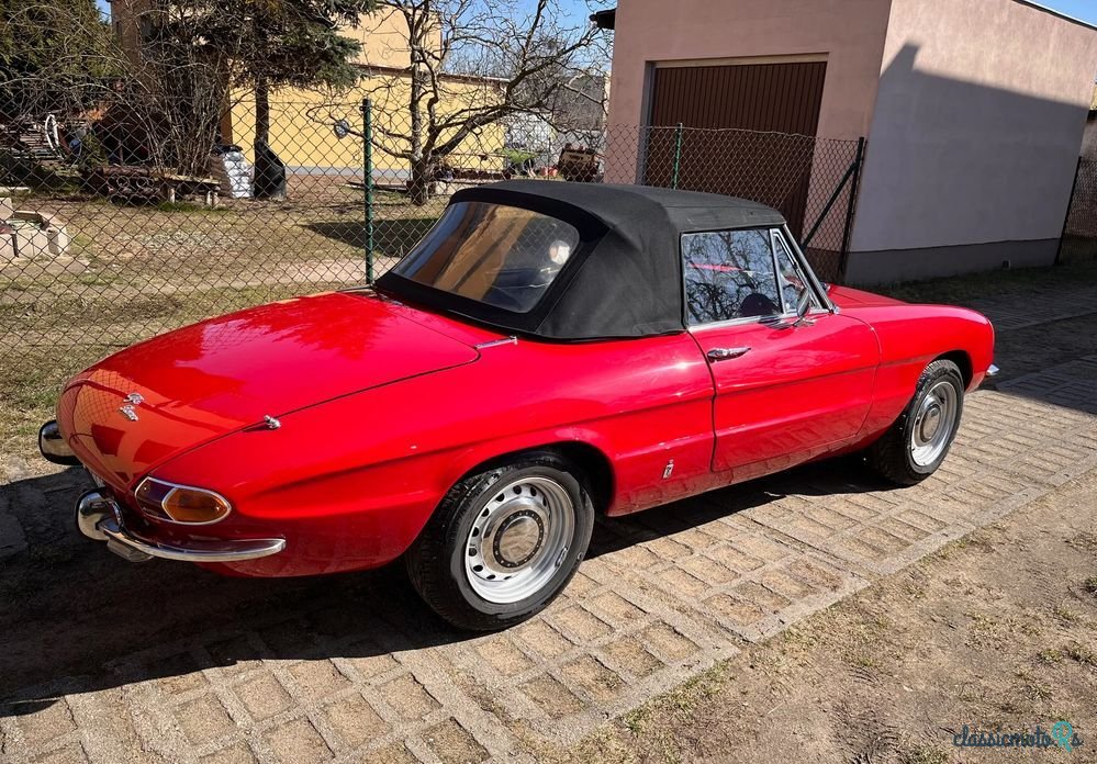 1969' Alfa Romeo Spider photo #5