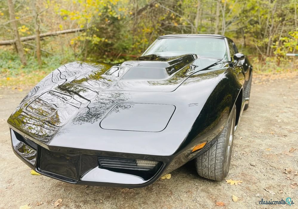 1977' Chevrolet Corvette photo #4