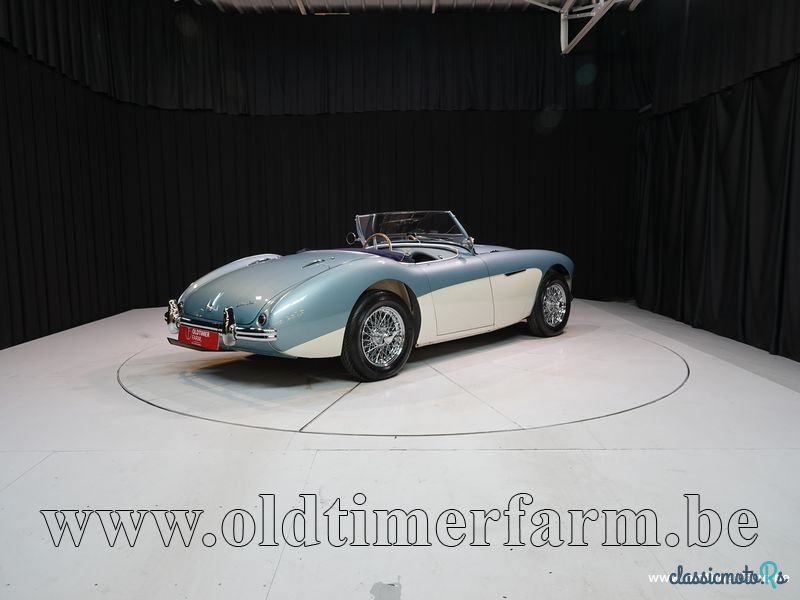 1954' Austin-Healey 100 /4 BN 1 '54 CH4168 photo #2
