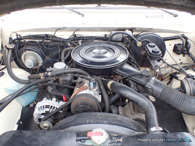 1987' Dodge D/W Truck D-150 LE photo #6