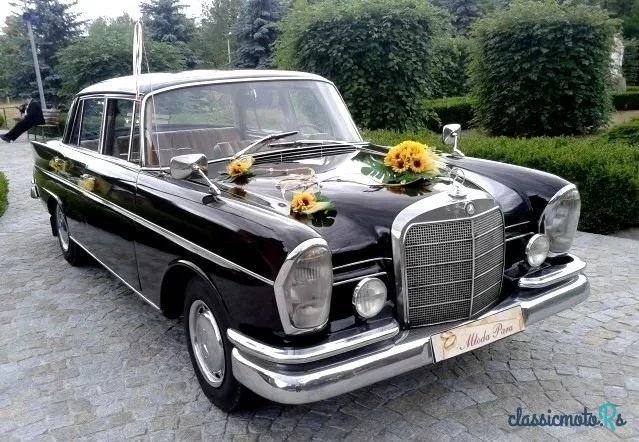 1963' Mercedes-Benz W111 220SB photo #4