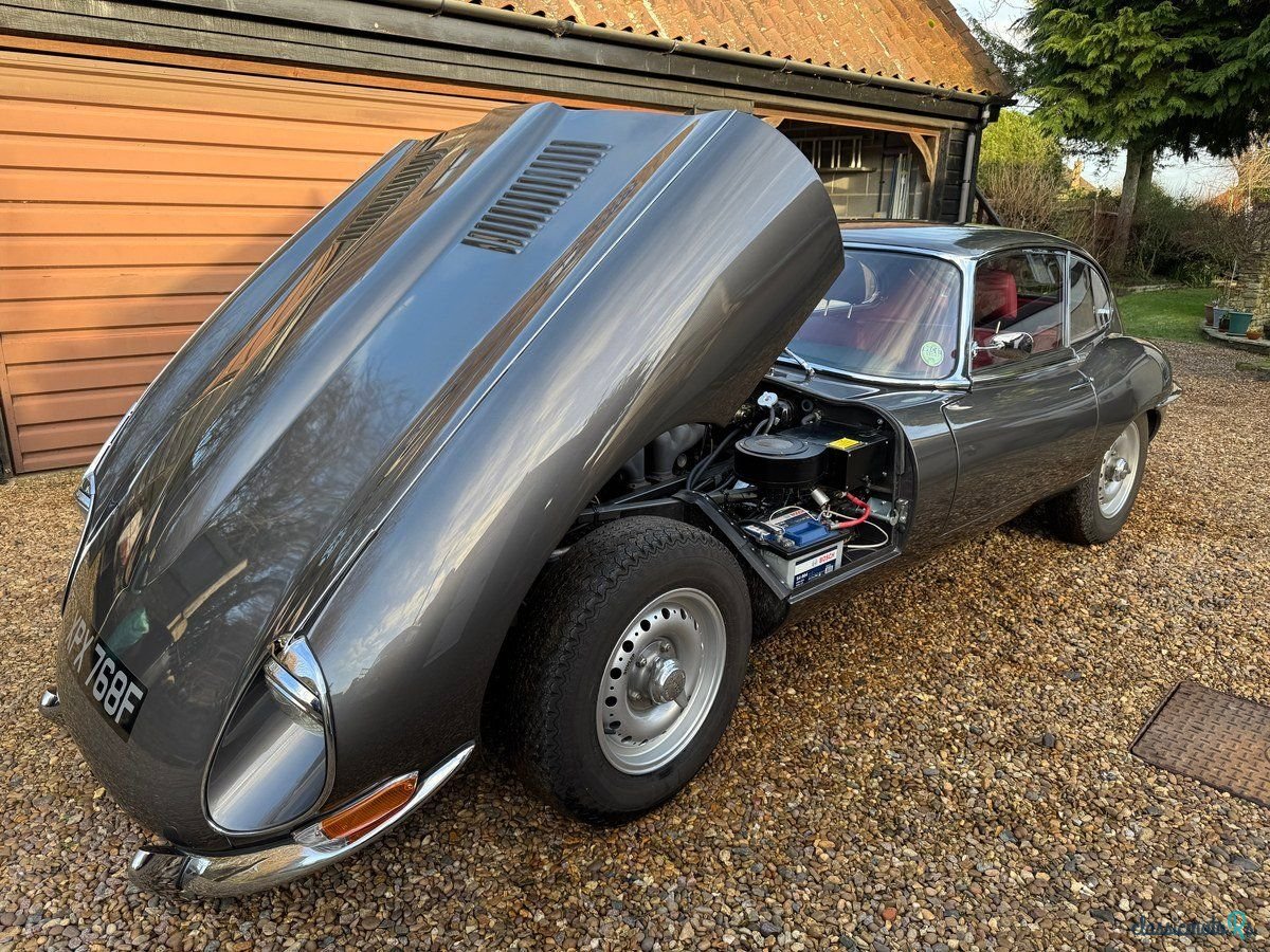 1967' Jaguar E-Type photo #6
