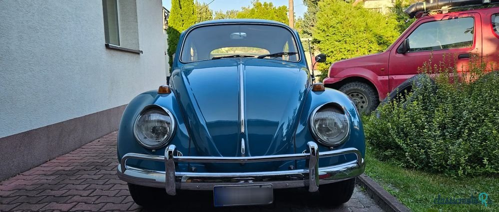 1966' Volkswagen Garbus photo #2