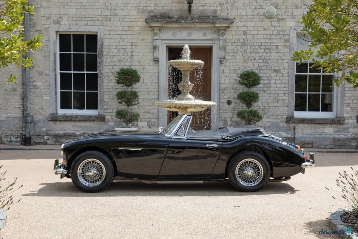 1965' Austin-Healey 3000 photo #4