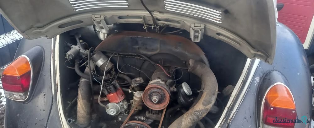 1971' Volkswagen Garbus photo #4