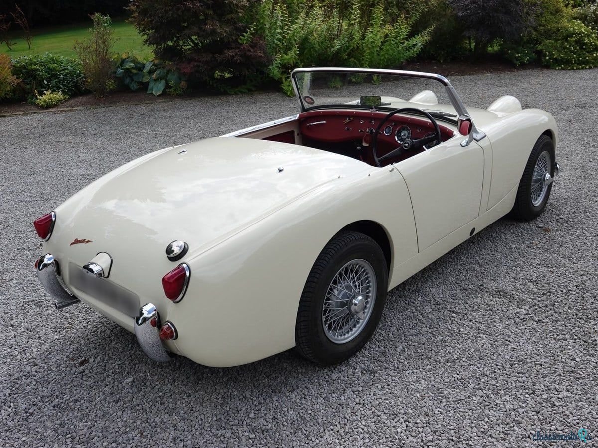 1959' Austin-Healey Sprite photo #2