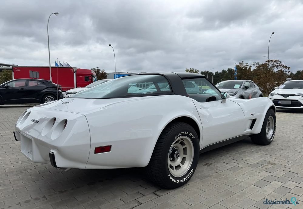 1979' Chevrolet Corvette photo #5