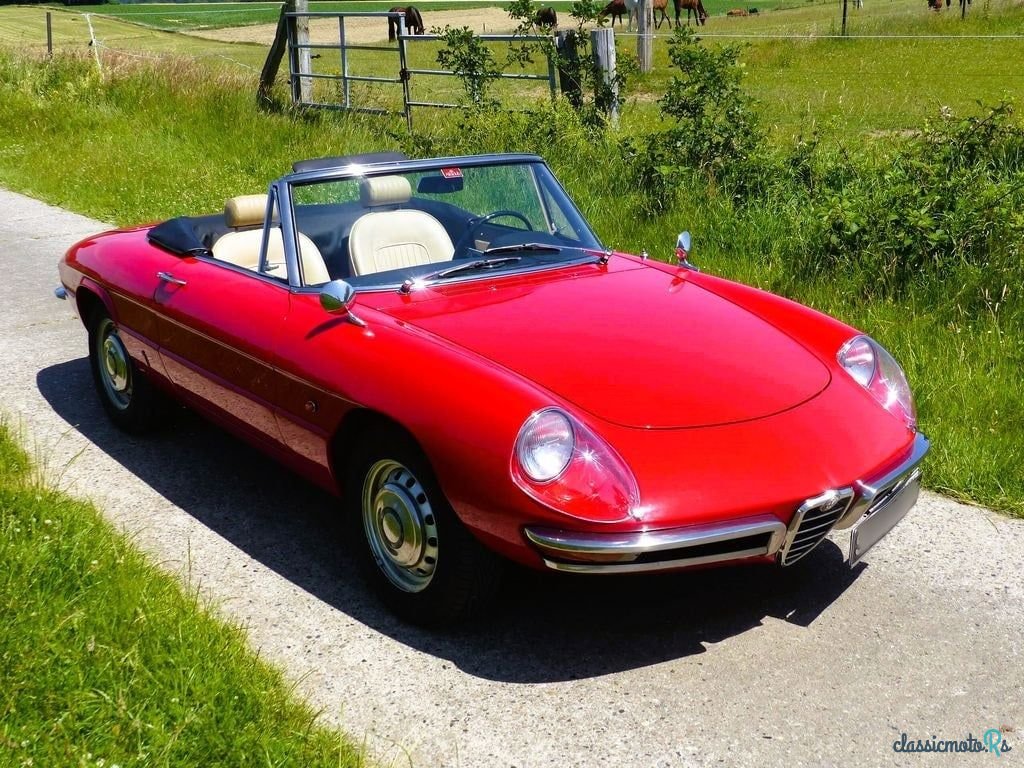 1966' Alfa Romeo Spider (Duetto) photo #2
