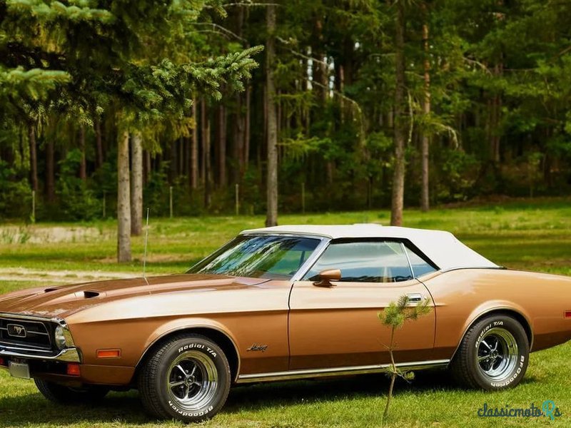 1971' Ford Mustang photo #5