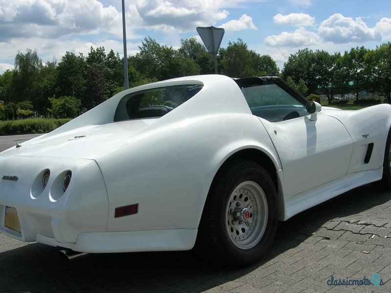 1977' Chevrolet Corvette photo #1