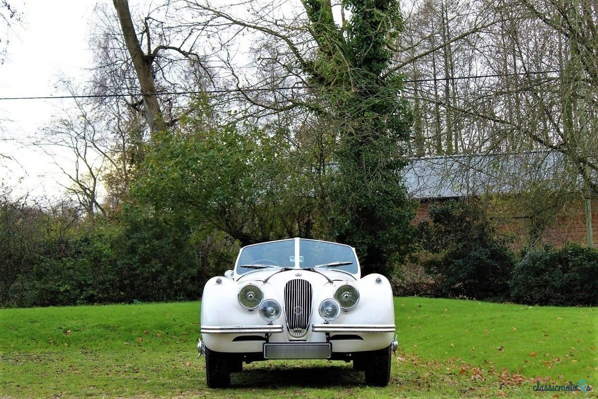 1953' Jaguar Xk120 photo #1